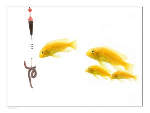 如何让页面降级融入日常工作流